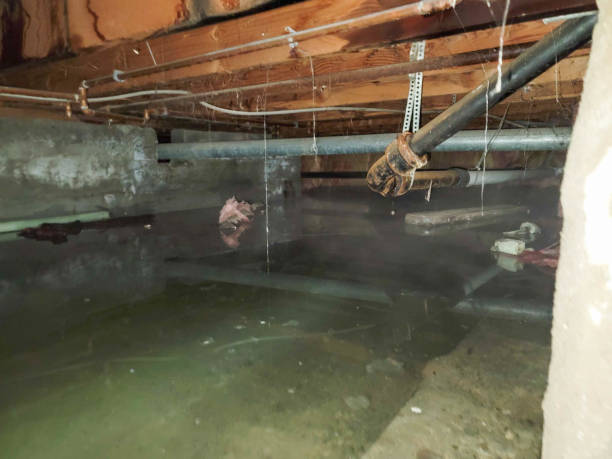 Best Flooded house restoration  in Collings Lakes, NJ